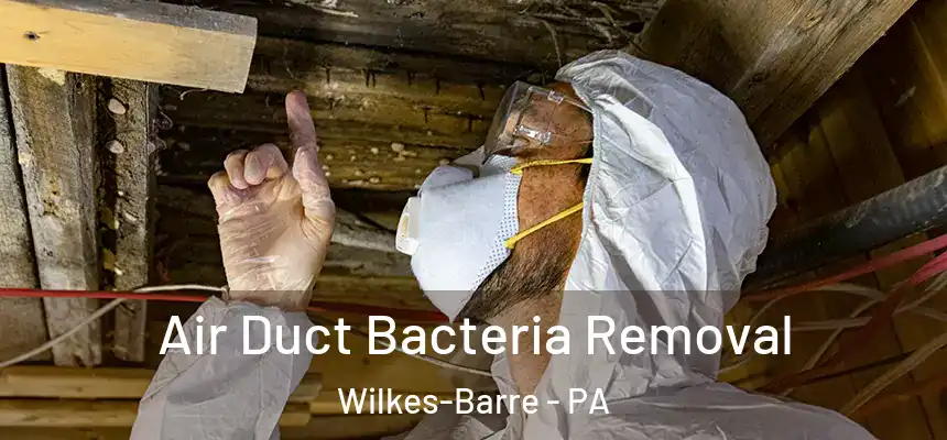  Air Duct Bacteria Removal Wilkes-Barre - PA