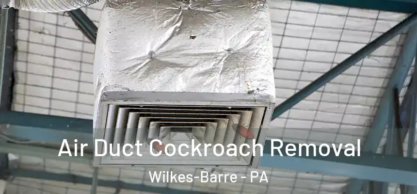  Air Duct Cockroach Removal Wilkes-Barre - PA
