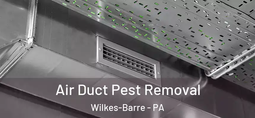 Air Duct Pest Removal Wilkes-Barre - PA