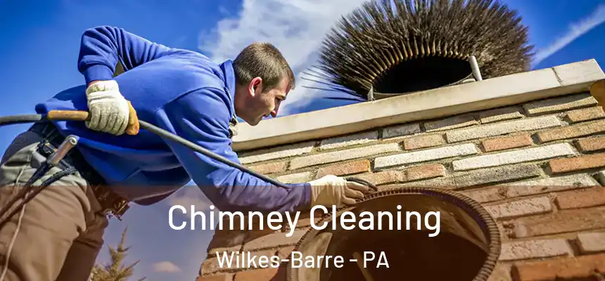 Chimney Cleaning Wilkes-Barre - PA