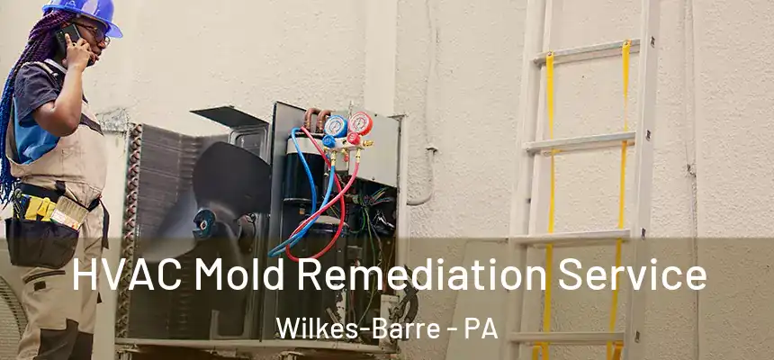  HVAC Mold Remediation Service Wilkes-Barre - PA