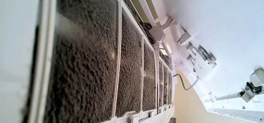 Preventive Air Duct Bacteria Removal in Wilkes-Barre