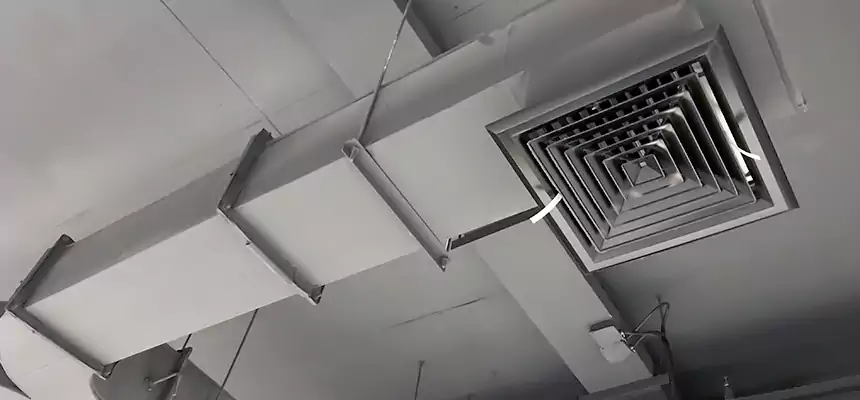 Restorative Allergy Relief Vent Cleaning – Coil, Blower & Housing Detail in Wilkes-Barre