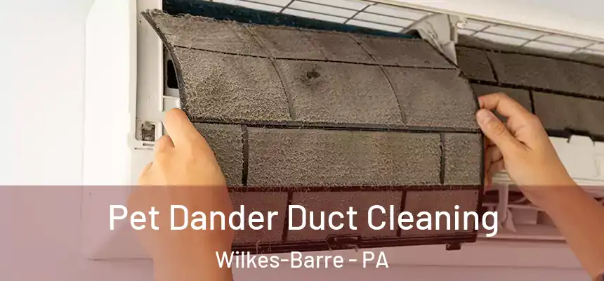 Pet Dander Duct Cleaning Wilkes-Barre - PA