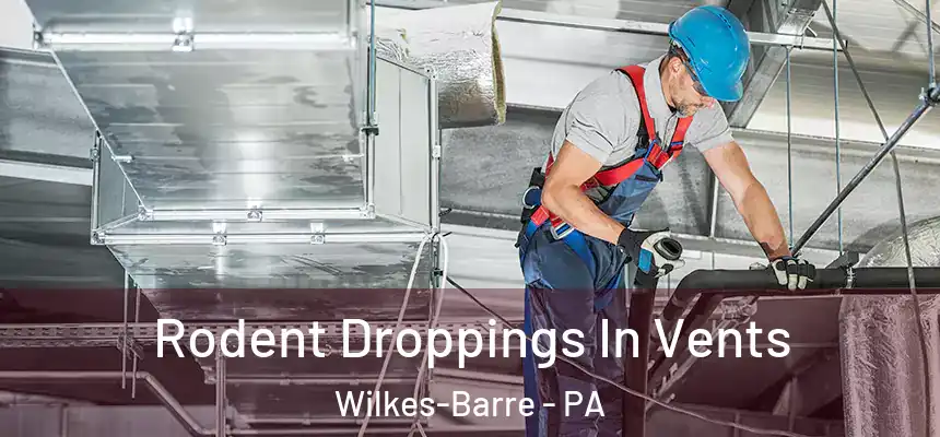 Rodent Droppings In Vents Wilkes-Barre - PA