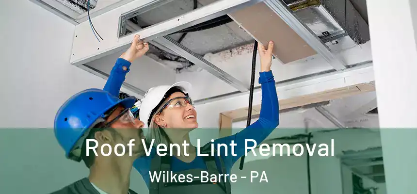 Roof Vent Lint Removal Wilkes-Barre - PA
