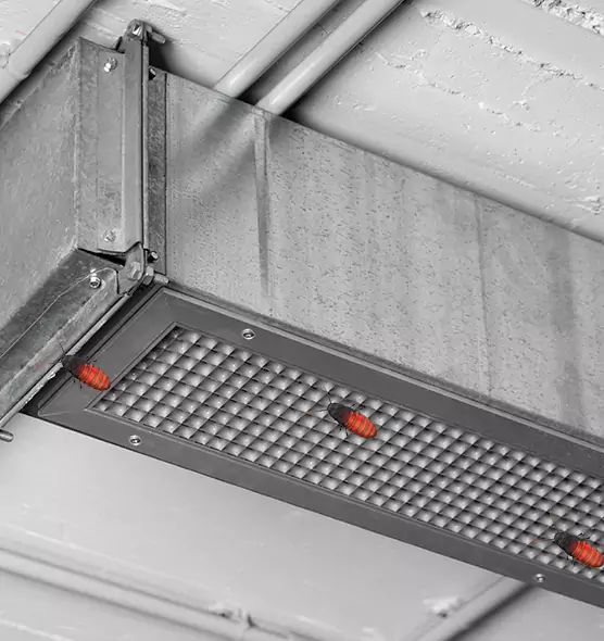 About Air Duct Cockroach Removal in Wilkes-Barre, PA
