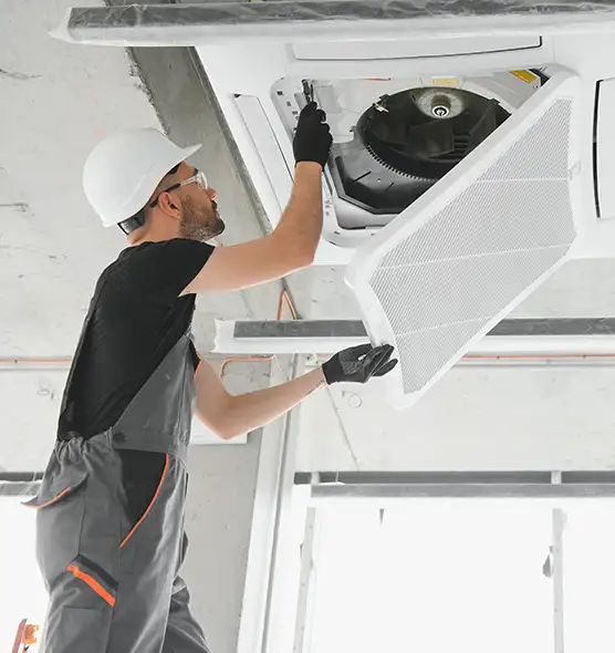 About Air Duct Rodent Removal in Wilkes-Barre, PA