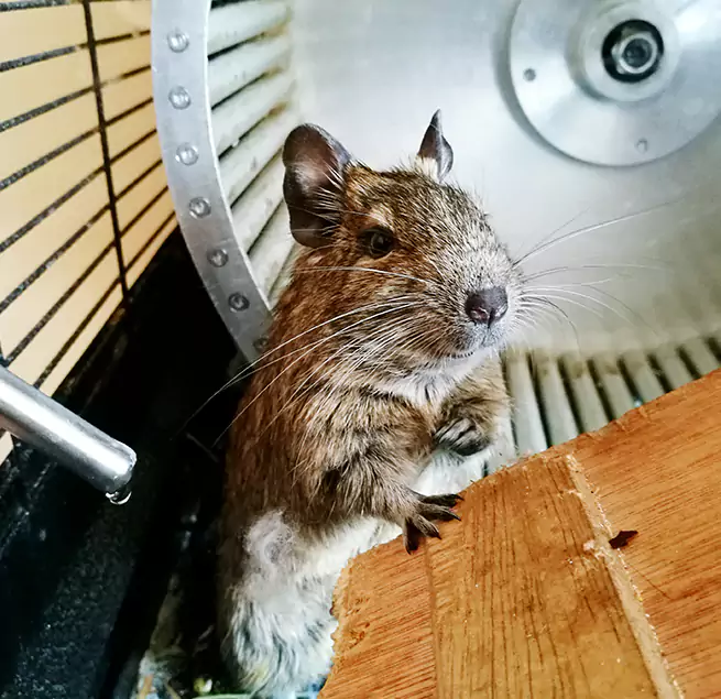 Why Homeowners & Businesses Trust Us Wilkes-Barre, PA