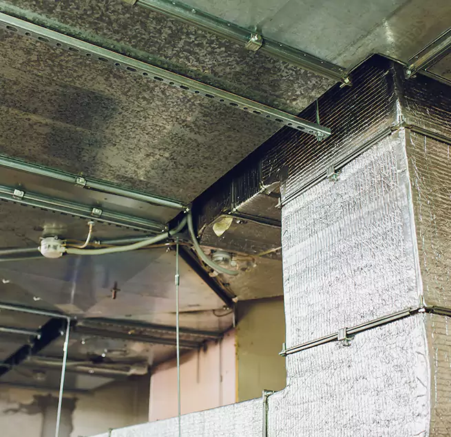 Why Homeowners & Businesses Trust Us in Wilkes-Barre, PA?